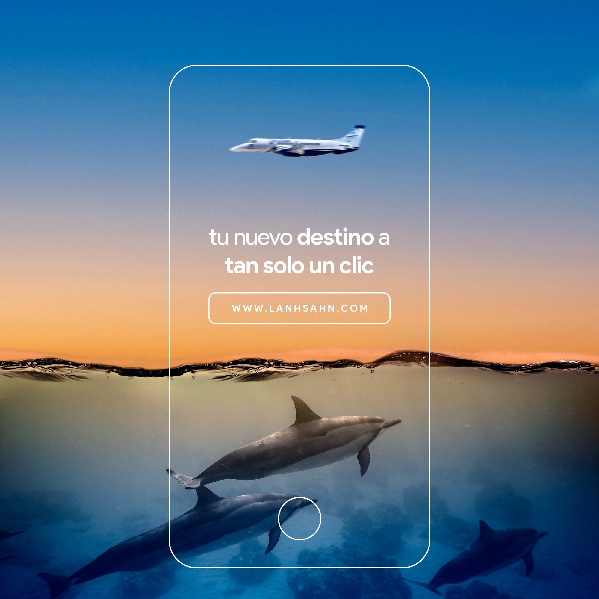 Pieza de campaña con delfines bajo el agua: tu nuevo destino a tan solo un clic